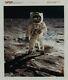 Buzz Aldrin Apollo 11 Signed Red Serial Numbered Iconic'visor Photo' Authentic