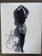 Cher Signed Butt Tattoo 8 X10 Signed Photo Authentic Letter Of Authenticity Ex