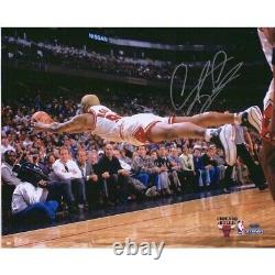 DENNIS RODMAN Autographed Chicago Bulls Diving 16 x 20 Photograph FANATICS