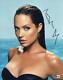 Hot Sexy Angelina Jolie Signed 11x14 Photo Authentic Autograph Beckett 1