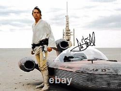 Mark Hamill Authentic Signed Star Wars 10x8 Photo Aftal#198