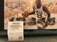 Michael Jordan Authentic Autographed 12x24 Championships Photo Collage Uda