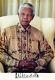 Nelson Mandela Signed Photo Authentic Autograph, Seated Pose -rare Collectible