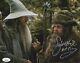 Sylvester Mccoy Signed The Hobbit Radagast 8x10 Photo Authentic Jsa Coa Cert