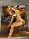 Willa Ford Authentic Signed Autographed 8x10 3 Coas
