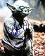 Frank Oz Star Wars Yoda Authentique Signé 8x10 Photo Dédicacée Bas # S71455