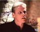 Gary Busey Arme Fatale Photo 8x10 Authentique Signée Autographiée Beckett Bas Coa