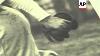 Le Seul Connu Photo Autographiée Shoeless Joe Jackson Monterai Aux Enchères Et Devrait Fe