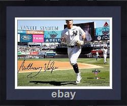 Photo signée Anthony Volpe Yankees 8x10 Fanatics Authentic COA