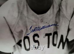 Ted Williams A Dédicacé 16 X 20 Baseball Photo. Authentifié Par Diamant Vert
